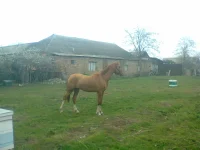 IMG-20130402-WA0002.webp
