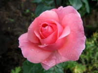 IMG_0767.webp