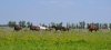 DSC_1023.JPG