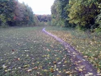 23092013314.webp