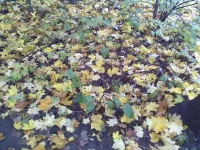 23092013317.webp