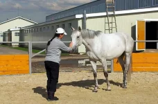 20130927_124811.webp
