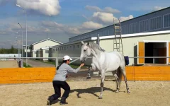 20130927_124815.webp