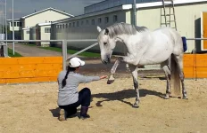 20130927_124829.webp