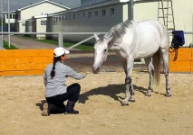 20130927_124847.webp