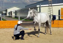 20130927_124850.webp