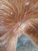 20201112_230858.jpg