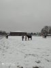 IMG-20201121-WA0017.jpg