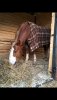 IMG-20201222-WA0022.jpg