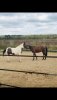 IMG-20201222-WA0026.jpg