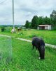 IMG-20201222-WA0017.jpg