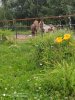 IMG-20201224-WA0023.jpg