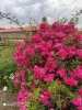 IMG-20201224-WA0022.jpg