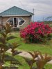 IMG-20201224-WA0021.jpg