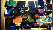 0A5E783E-6A94-41D3-AA56-6489FA457CCB.png