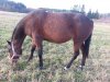 20131017_154025.jpg