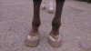 IMAG0767.jpg