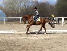 032762F8-CA11-4DD7-8B46-3BB2E64A5C82.jpeg