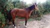 20131d209_140429.jpg