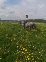 IMG_20210608_155013.jpg