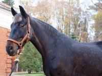 WhatsApp Image 2021-06-13 at 23.54.52.jpeg WhatsApp Image 2021-06-13 at 23.54.52.jpeg