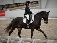 WhatsApp Image 2021-06-13 at 23.54.53 (2).jpeg WhatsApp Image 2021-06-13 at 23.54.53 (2).jpeg