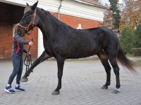 WhatsApp Image 2021-06-13 at 23.54.53.jpeg WhatsApp Image 2021-06-13 at 23.54.53.jpeg