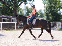 WhatsApp Image 2021-06-13 at 23.54.54.jpeg WhatsApp Image 2021-06-13 at 23.54.54.jpeg