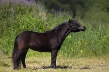 WhatsApp Image 2021-06-23 at 13.57.50.jpeg