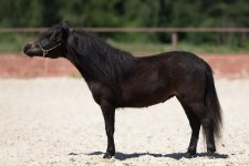 WhatsApp Image 2021-06-23 at 13.57.52 (2).jpeg