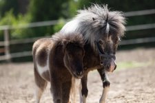 WhatsApp Image 2021-06-23 at 14.14.58.jpeg