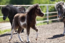 WhatsApp Image 2021-06-23 at 14.15.00.jpeg