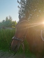 IMG_20210709_194324.jpg