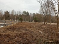 IMG_20210401_170718.jpg