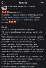 214C78EE-C548-49B6-8CAF-7F057E6F51D2.jpeg