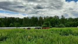 865185CF-03F1-4992-98F0-11AB24E24669.jpeg