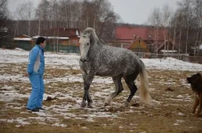 Iu_f4yjUquU.webp