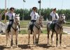 DSC04884_cr.jpg