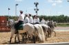 DSC04875.JPG