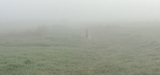 IMG20210907072036.jpg