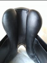 IMG_20210910_172304.jpg