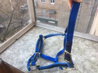 IMG_6532-04-12-18-02-03.JPG