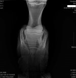 893_20-08-2021 16_04_09_1-5.jpg