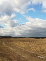 IMG_20211022_121541.jpg