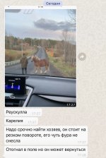 BBA576F9-1235-4524-A6B5-316D1C85AF42.jpeg