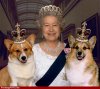 queen-elizabeth-ii-18113.jpg