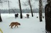 DSC_3432.JPG