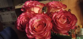 IMG20220116165026_01.jpg