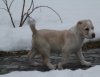 IMG_7676.JPG