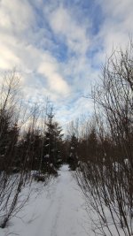IMG_20220213_161000.jpg
